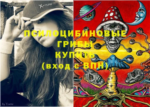 ECSTASY Богородицк