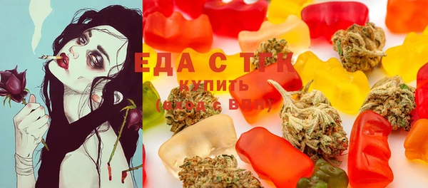 ECSTASY Богородицк