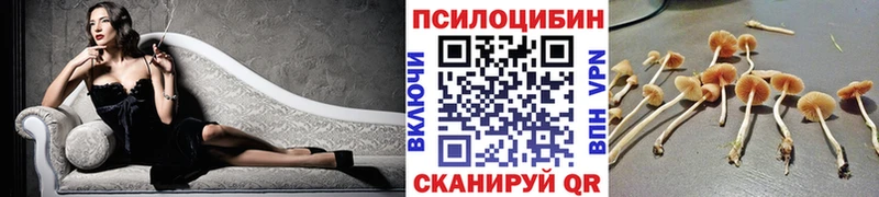 где можно купить наркотик  Красновишерск  blacksprut вход  Галлюциногенные грибы прущие грибы 